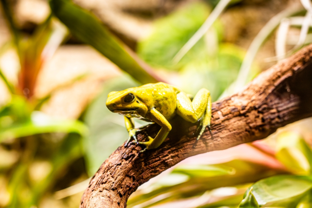 Návštěva u protinožců a doušek punče